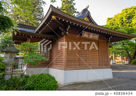 新緑の高麗神社　神楽殿　埼玉県日高市 40836434
