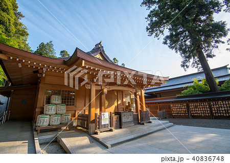 新緑の高麗神社 拝殿 埼玉県日高市 新緑の高麗神社 拝殿 埼玉県日高市 40836748