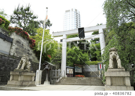 乃木神社 一の鳥居 東京都港区 乃木神社 一の鳥居 東京都港区 40836782