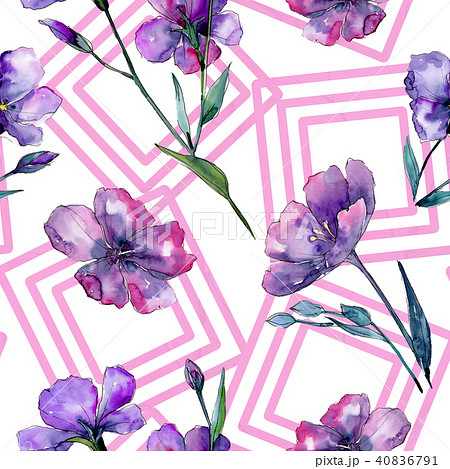 Violet Flax Seamless Background Pattern のイラスト素材