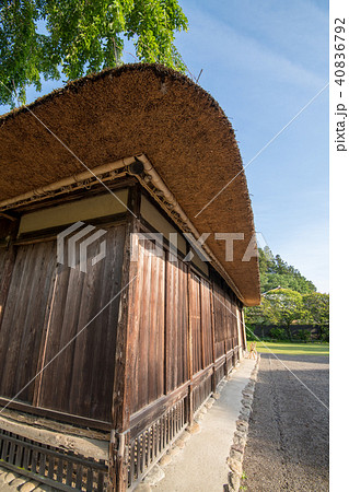 新緑の高麗神社　高麗住宅　埼玉県日高市 40836792