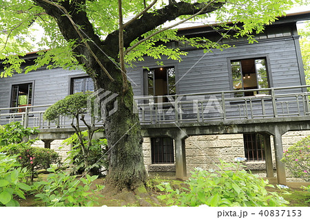 乃木神社と隣接する乃木公園　旧邸宅 40837153