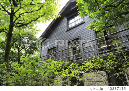 乃木神社と隣接する乃木公園 旧邸宅 乃木神社と隣接する乃木公園 旧邸宅 40837156