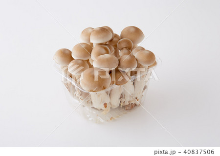 立派なしめじ 40837506