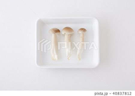 立派なしめじの株 立派なしめじの株 40837812