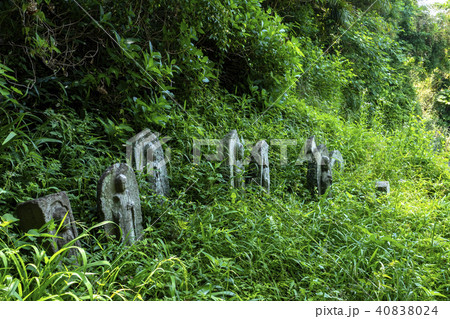 廃仏毀釈の傷痕　真言宗真福寺 40838024