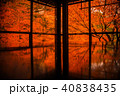 紅葉 40838435