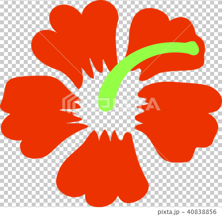 Hibiscus flower illustration Hibiscus flower illustration 40838856