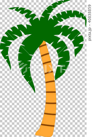 Palm tree ever summer illustration Palm tree ever summer illustration 40838859