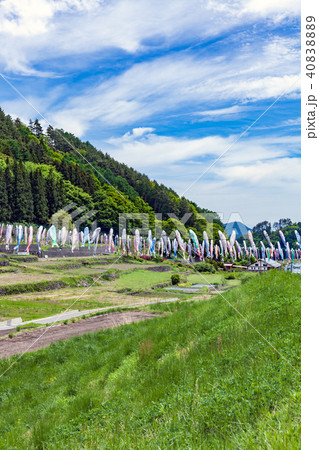 南八ヶ岳花の森公園の鯉のぼりの写真素材 40