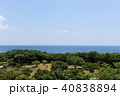 平和創造の森公園から望む太平洋 40838894