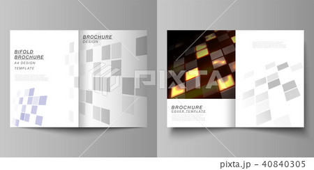The vector of the two editable layout A4 format cover design templates for bifold brochure, magazine 40840305