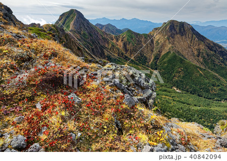 八ヶ岳連峰 横岳稜線の紅葉と赤岳 阿弥陀岳の眺めの写真素材