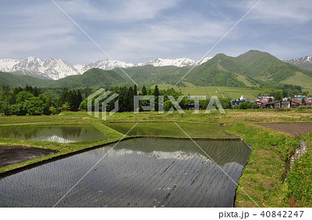 白馬連山 40842247