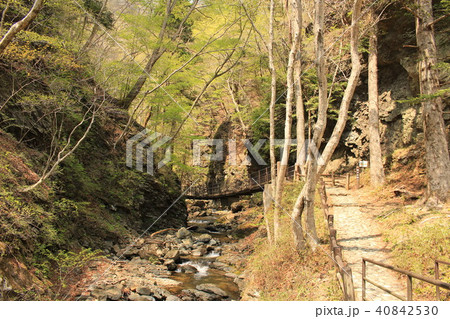 那須塩原・竜化の滝（竜化の橋） 40842530