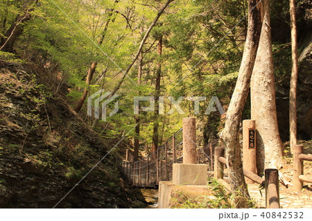 那須塩原・竜化の滝（竜化の橋） 40842532