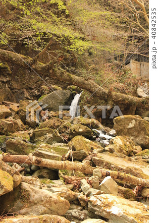 那須塩原・竜化の滝（竜化の滝遊歩道） 40842535