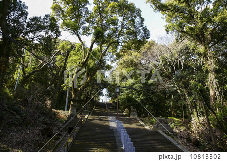 本妙寺 加藤清正公像 40843302