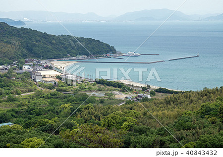 頭王山から江の浦港の景色 頭王山から江の浦港の景色 40843432