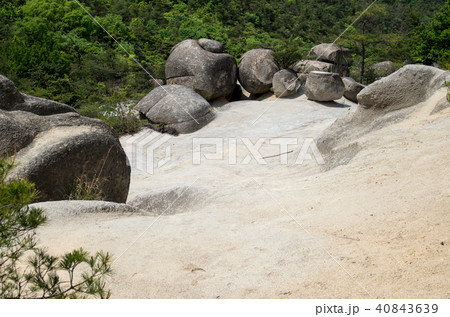 さぬき広島の空中庭園 40843639