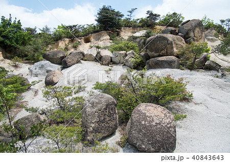 さぬき広島の空中庭園 さぬき広島の空中庭園 40843643