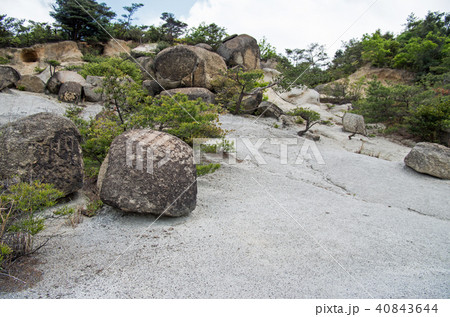 さぬき広島の空中庭園 さぬき広島の空中庭園 40843644