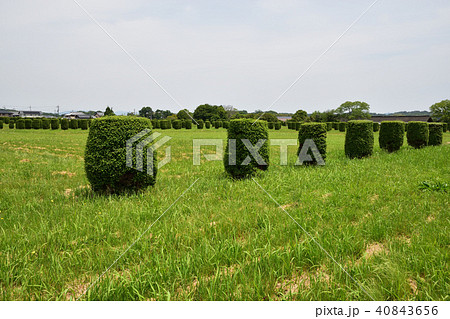 第二次大極殿 40843656