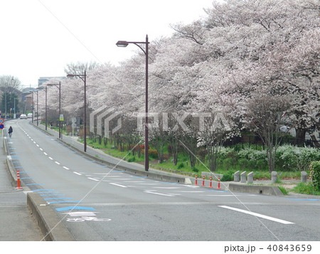 自転車レーン　さいたま市 40843659