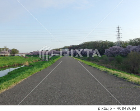 さいたま市大宮体育館付近の風景 春 さいたま市大宮体育館付近の風景 春 40843694