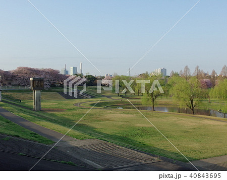 大宮第二公園 40843695