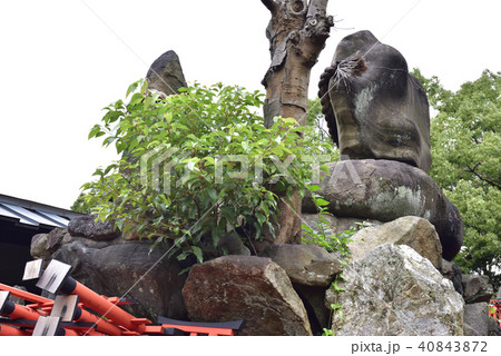 伏見稲荷大社　稲荷山　一ノ峰の親塚 40843872