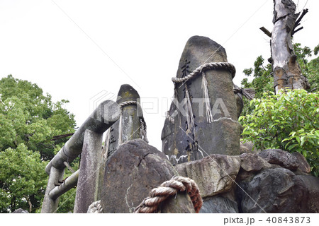 伏見稲荷大社　稲荷山　一ノ峰の親塚 40843873