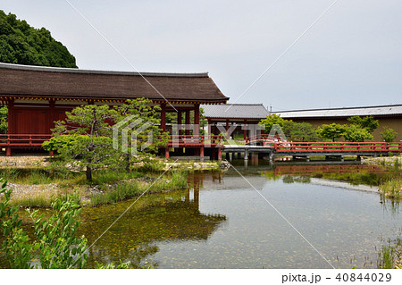 東院庭園（池と青空） 40844029