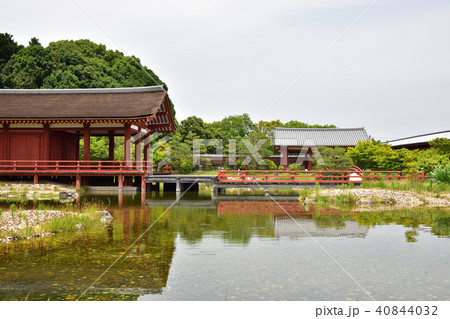 東院庭園（池と青空） 40844032