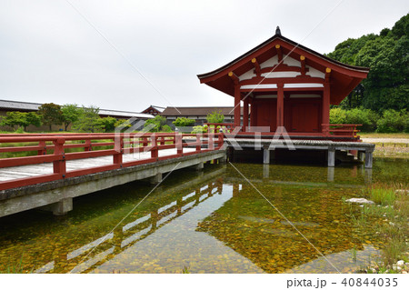 東院庭園（池と青空） 40844035
