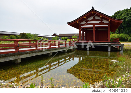 東院庭園(池と青空) 東院庭園(池と青空) 40844036