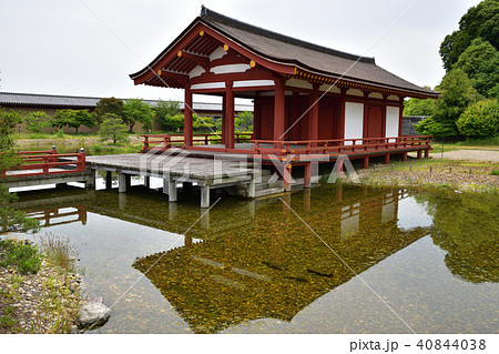 東院庭園（池と青空） 40844038