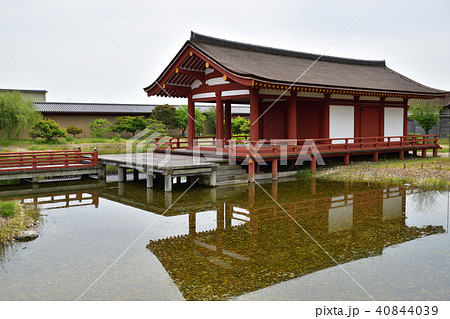 東院庭園（池と青空） 40844039
