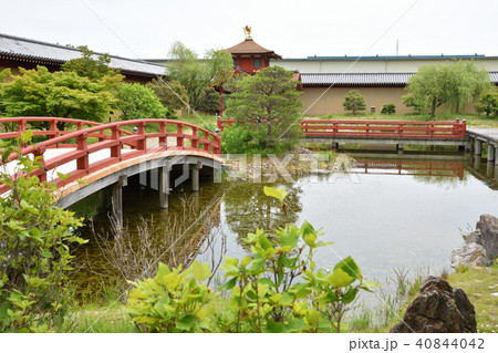 東院庭園(池と青空) 東院庭園(池と青空) 40844042