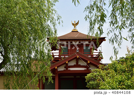 東院庭園 40844108