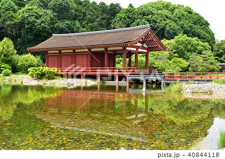 東院庭園（池と朱） 40844118