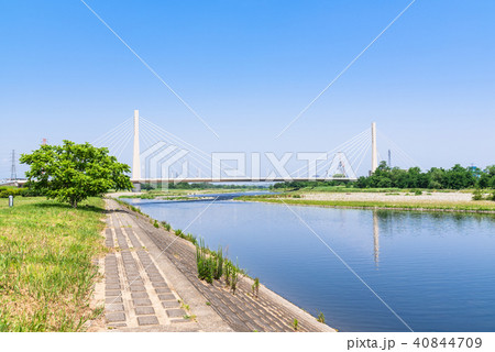 春の多摩川 40844709