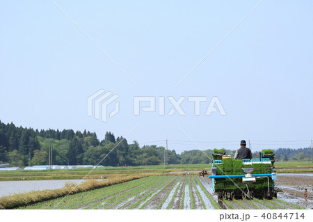 田植え機で田植えをする男性 イメージ 40844714