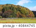里山 40844745