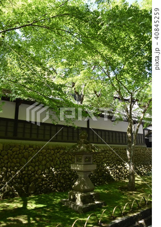 法多山尊永寺　袋井市 40845259
