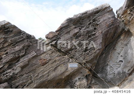 竜串見残し海岸のつづみ岩 40845416