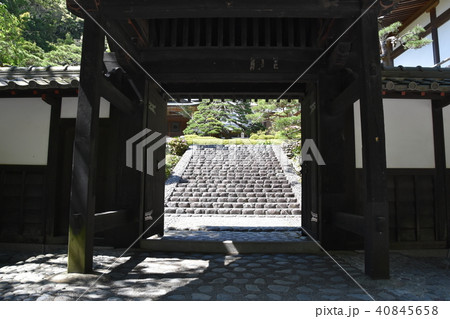 法多山尊永寺　袋井市 40845658