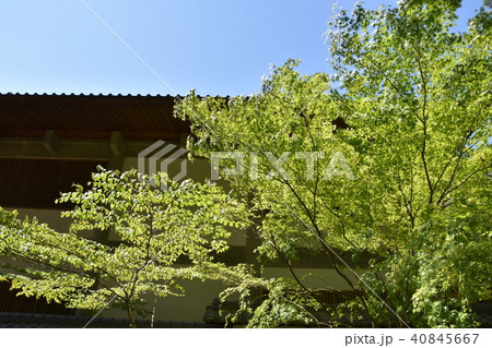 法多山尊永寺 袋井市 法多山尊永寺 袋井市 40845667