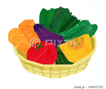 野菜　新鮮　イラスト　にんじん　トマト　カボチャ　ナス 40845702