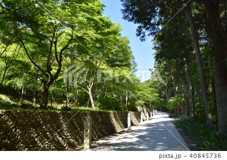 法多山尊永寺　袋井市 40845736